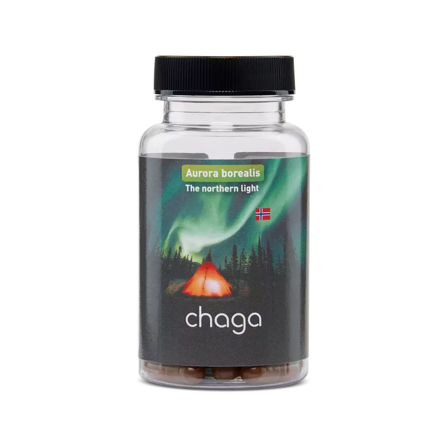 Chaga