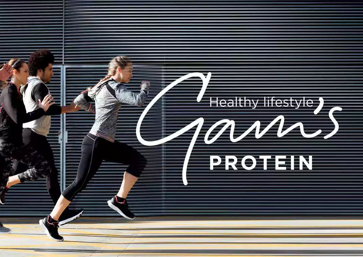 GAMS product programme